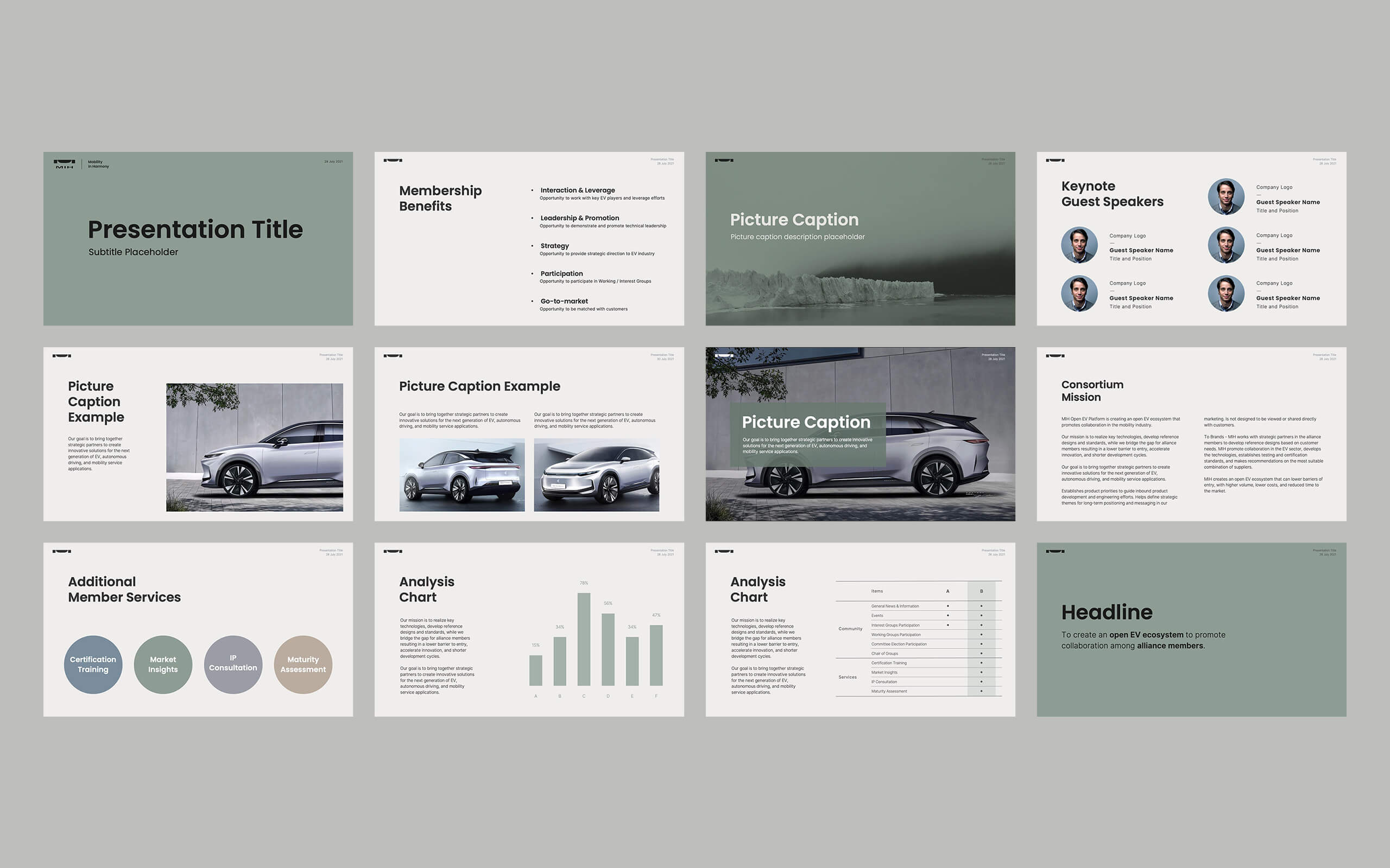 MIH Presentation Template
